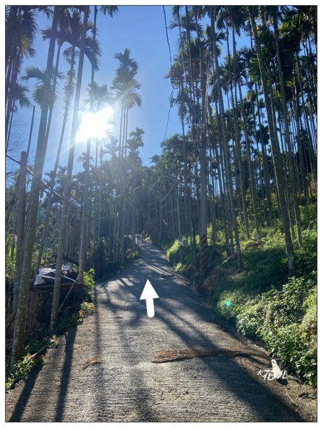 逐鹿古道、雨社山(南投、魚池)2667411