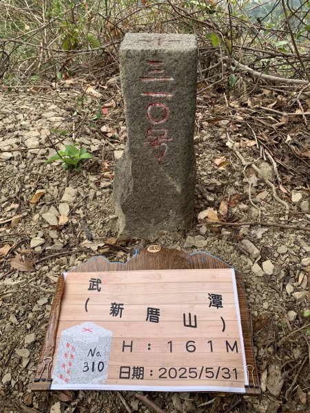 20250531屏東武潭(新厝山)2803218