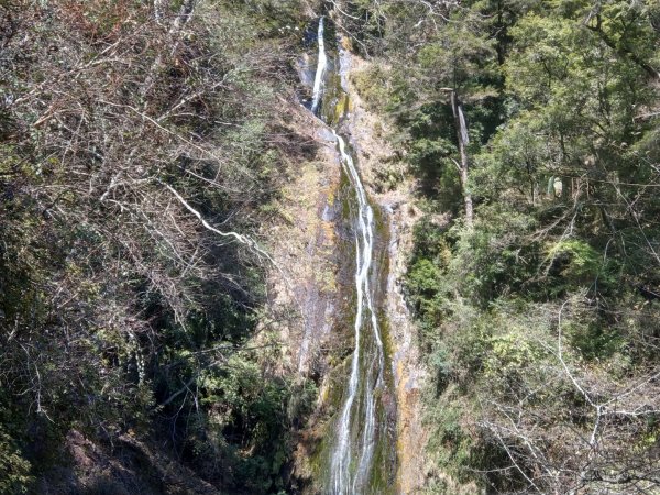 武陵桃山瀑布步道（煙聲瀑布）往返約9km829634
