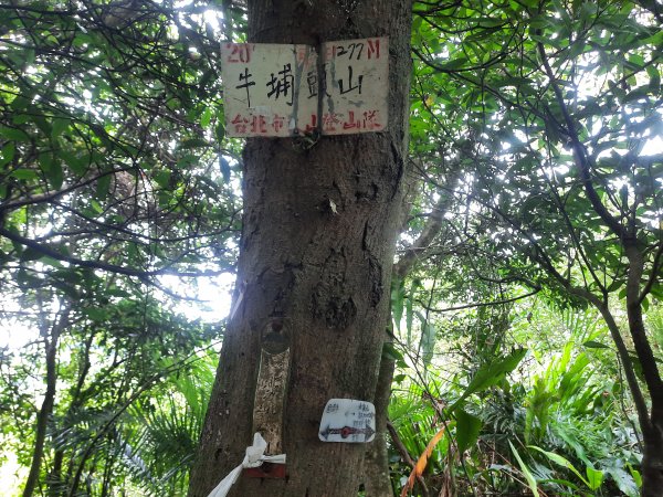 圓通寺烘爐地登山步道1425391