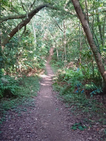 大崙頭尾親山步道470625