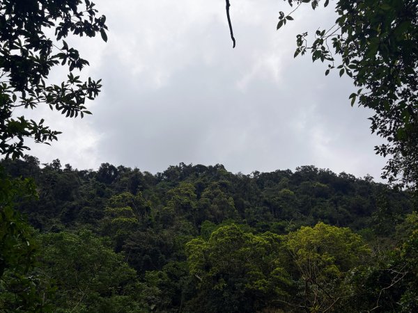 鯉魚山步道群2728322