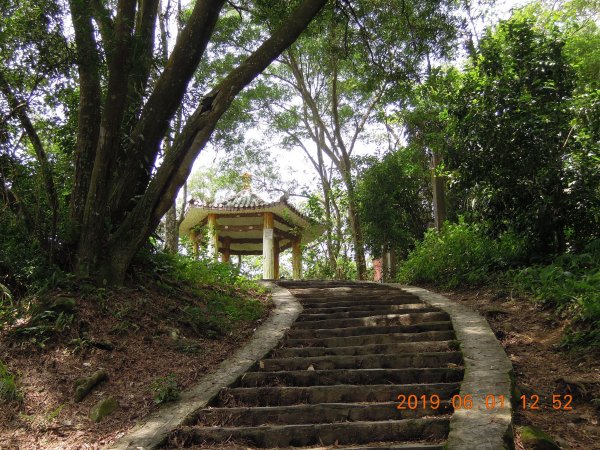 20190601_飛鳳山中坑山835939