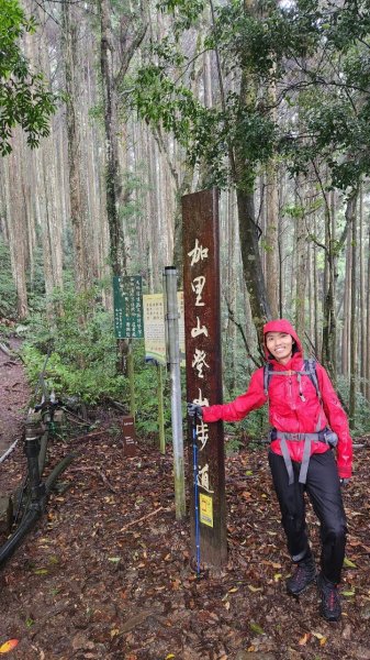 20230730 苗栗加里山午後雷陣雨篇（中級山小百岳）2235179