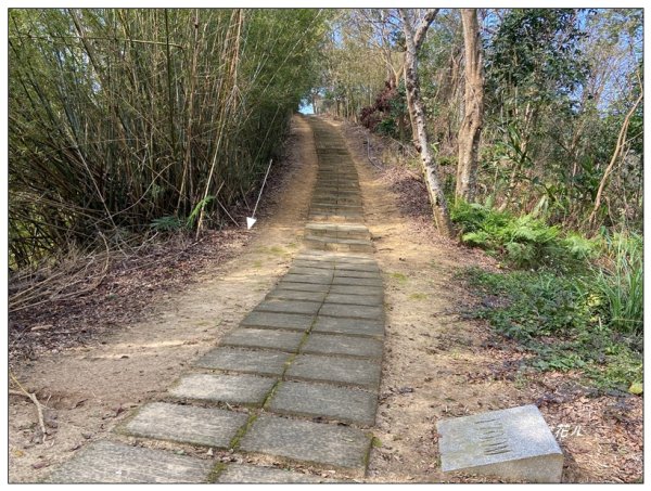 老崎古道、老崎坪頂山 (頭份)2737195