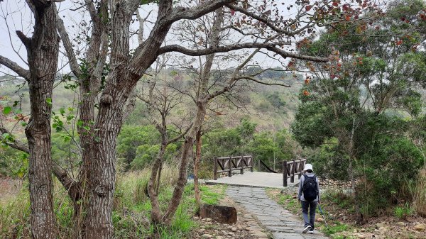 《台中》新春減肥｜龍井竹坑南寮登山步道202202121608725