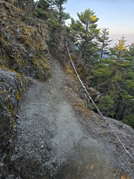 20260319-0324 南一段3036488