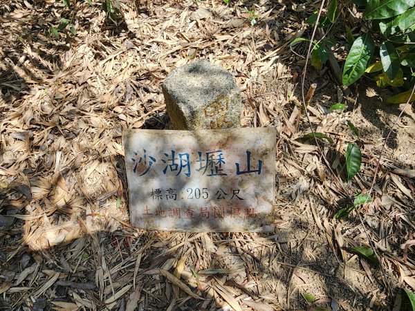 20260223柯子湖山菜堂山尖山沙湖壢山與寶山水庫基石3012630