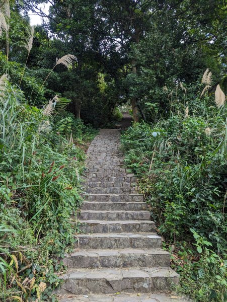 【百大必訪步道】飛鳳山、觀日坪古道1981989