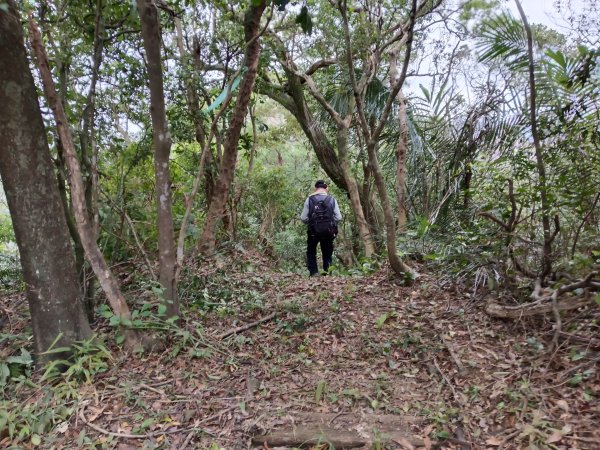 基隆市三層山+湳子大崙+淡基橫斷古道+面桶寮土地公2982252
