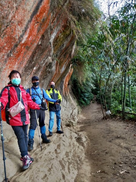 【小百岳集起來】鳶山登山步道【南山神壽任務尋寶趣】鳶山彩壁、福德坑山步道1580841