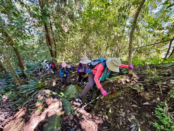 瞭望台-瓊山-望美山-獵人古道2886876