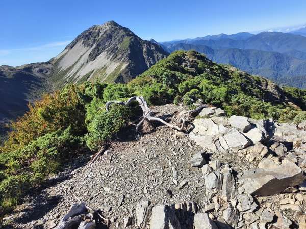 北一段(11/14)南湖北峰 2025_0906~132887267