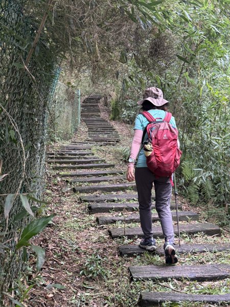 獅仔頭山 2025.07.202864261