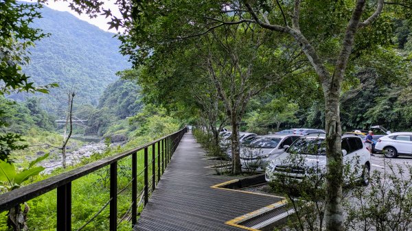 福山部落,內洞森遊區2552500