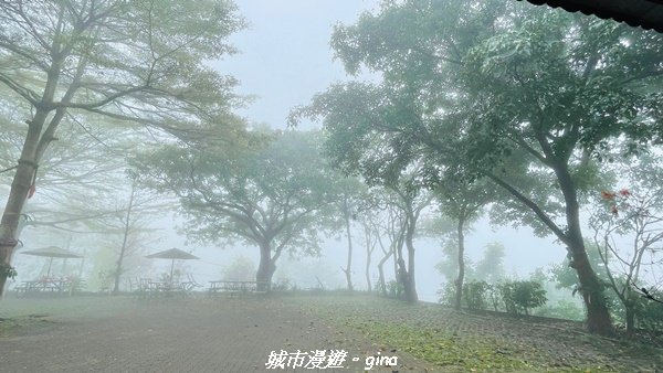 【台南。 楠西】滿滿的雲海太驚豔。 小百岳集起來。 編號67小百岳~竹子尖山步道1605879