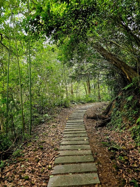 騎龍古道 - 2024森遊竹縣皮皮獅Hike客任務2555343