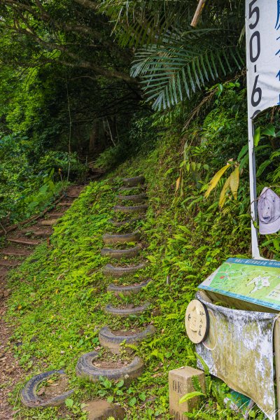 [新竹]飛鳳山2512108