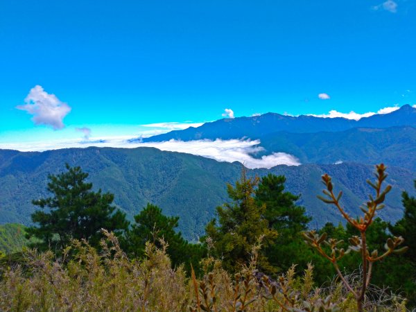 雪山主東峰探訪 美景盡收眼底 如癡如醉434362