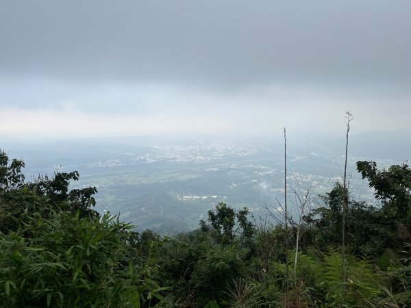 20231102_關西赤柯山（森遊竹縣）2762971