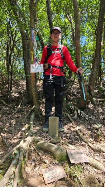 20250322遠望坑古道-龜媽坑古道中線-虎子山古道2743262