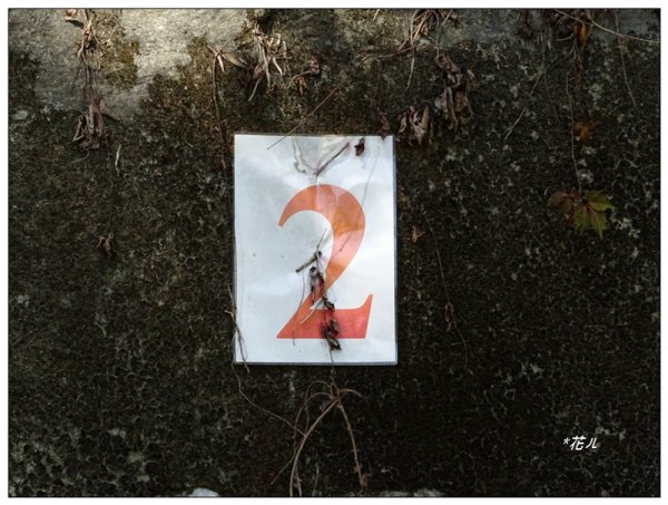 沙蓮山西南峰、砂連山連走(台中/和平)1664184