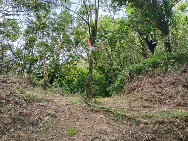 雙溪區石龜福德廟+坪溪古道+梗枋古道+叢雲山+叢雲山北峰+宜1縣縣界O型3019502