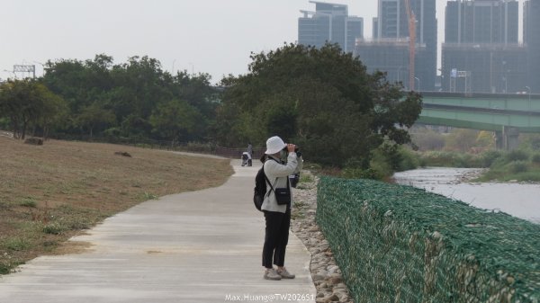 《台中》冬日暖陽｜筏子溪門戶迎賓水岸廊道健行賞鳥202601182983614