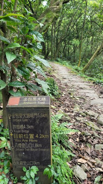 擎天崗系步道巡禮2104333