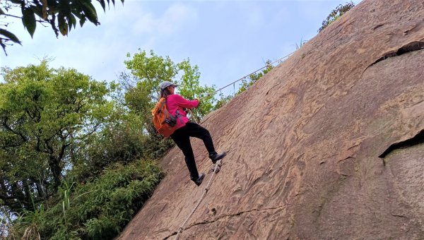 (姨婆趴趴走)第四十一集:桃園大溪草嶺山、石厝坑山、白石山環狀縱走