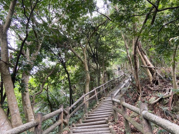 大坑2號原路來回2130466