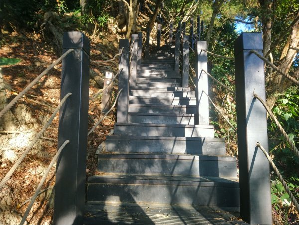 新田五星級登山步道-聚興山 小百岳040755693