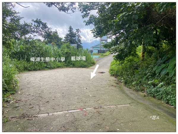 後棟仔山 O型路線2833443