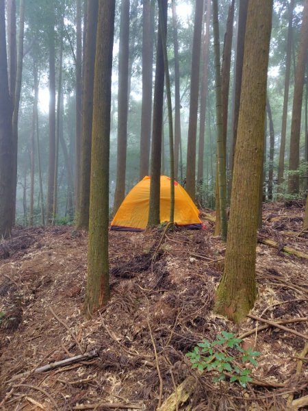 長壽山、肥崠山、醜崠山、大崠山、大崠山經建版2931623