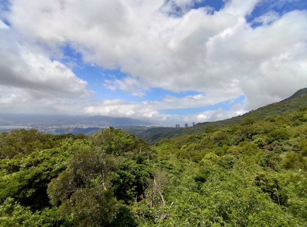 中正山步道-竹子湖來回1361646