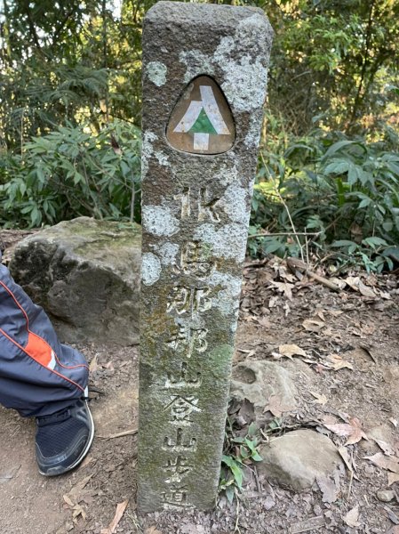 馬那邦山賞楓趣1549543