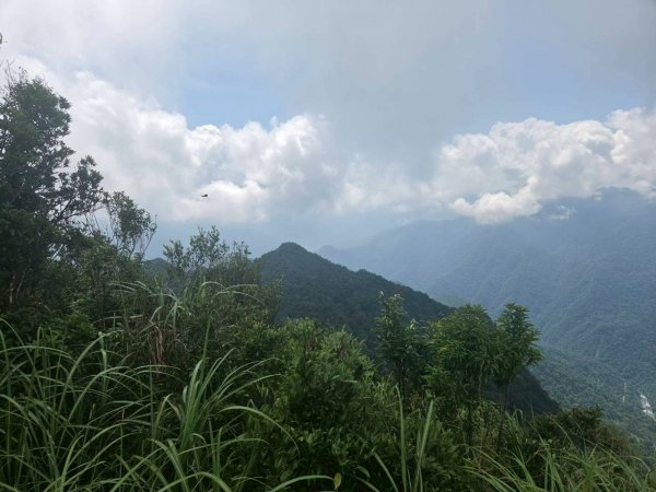 20260620烏來三山-小巫山-小小巫山3078676