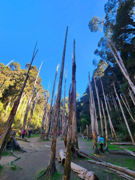 小百岳集起來-金柑樹山2183170