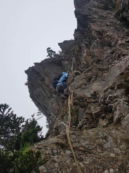 畢羊縱走-畢祿山羊頭山（百岳×9、10）1000560