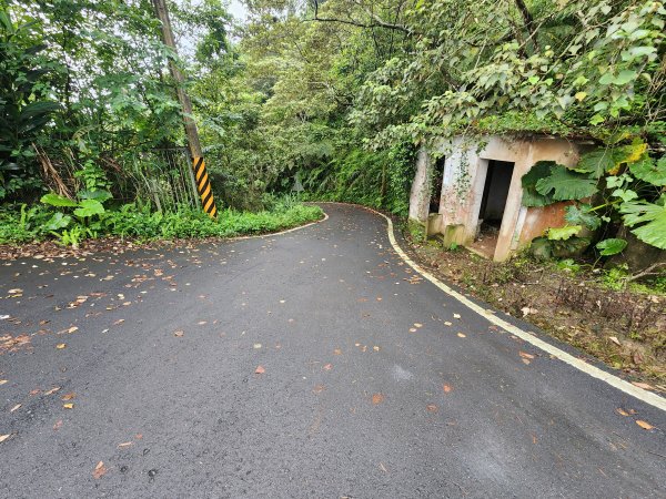 20250427大山背山田寮山毬子山騎龍山2933637