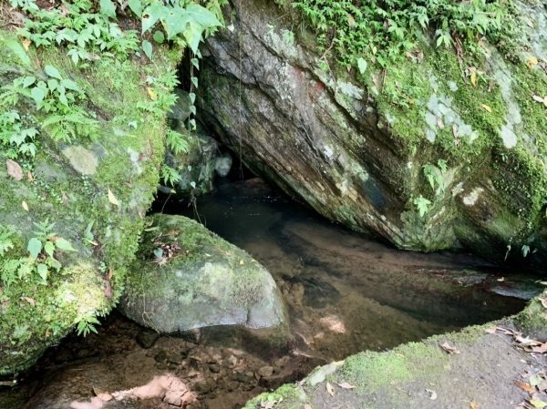 坪頂古圳親山步道1690064