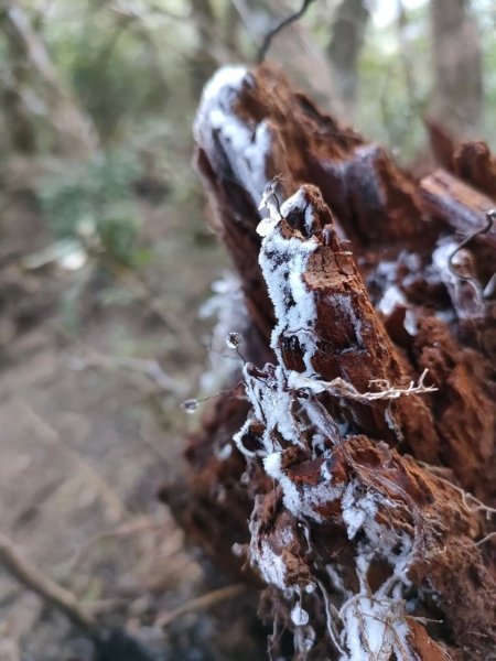 雪季北得拉曼2956374