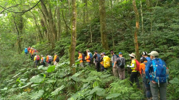 小百岳+古道~八五山古道登李崠山(#2618095