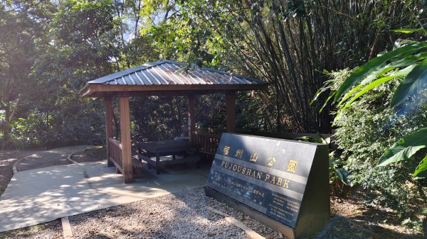 福州山健走2990354