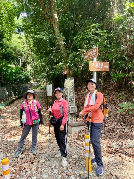 虎山岩區4條大嶺巷步道十二分埔山O繞逍遙輕鬆行3064042