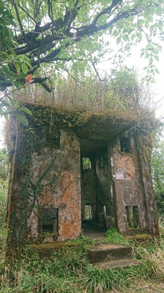 胡桶古道、梳妝樓山Ｏ走2461588