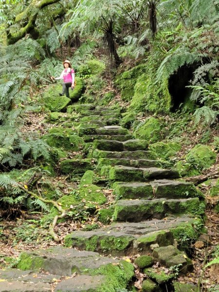 探索凱達格蘭遺址-202404142600569