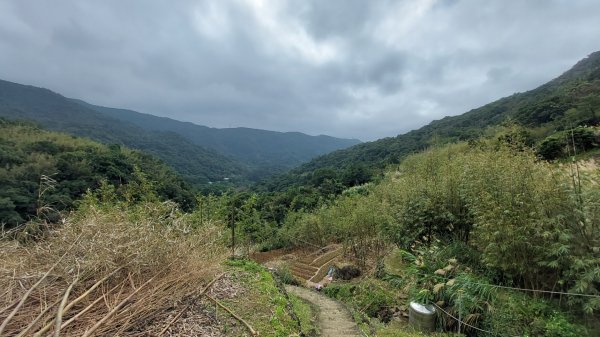 坪頂古圳山上走走1575034