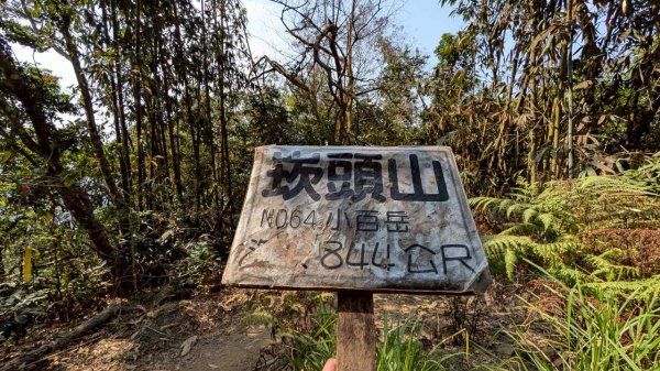 崁頭山步道3002463