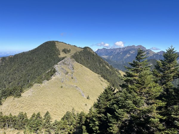 雪山西稜 2023_1105(D4B) 奇峻山2341900